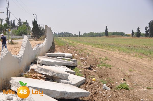 wallludshaneer509 (2).JPG